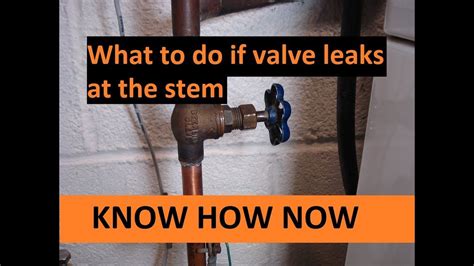 shut off valve leaking at stem|Fix Shut Off Valve Leaking at Stem